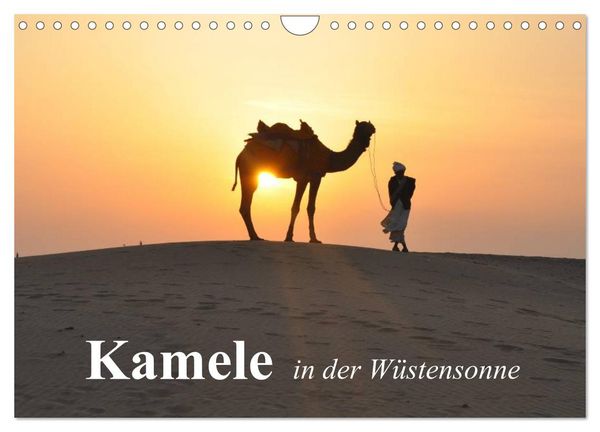 Produktbild: Kamele in der W&uuml;stensonne (Wandkalender 2026 DIN A4 quer), CALVENDO Monatskalender