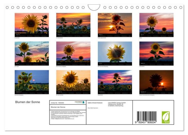 Produktbild: Blumen der Sonne (Wandkalender 2026 DIN A4 quer), CALVENDO Monatskalender
