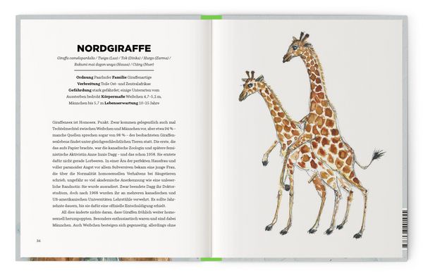 Produktbild: Queere Tiere