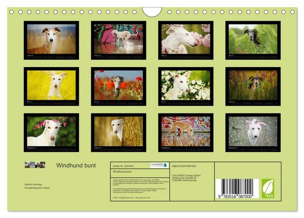 Produktbild: Windhund bunt (Wandkalender 2026 DIN A4 quer), CALVENDO Monatskalender