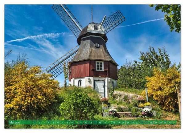 Produktbild: Amrum einfach sch&ouml;n (Wandkalender 2026 DIN A3 quer), CALVENDO Monatskalender