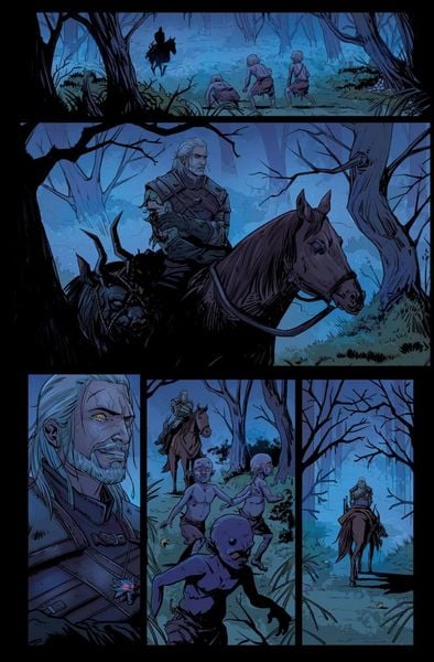 Produktbild: The Witcher