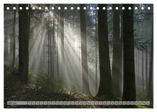 Produktbild: Mit B&auml;umen durchs Jahr (Tischkalender 2026 DIN A5 quer), CALVENDO Monatskalender