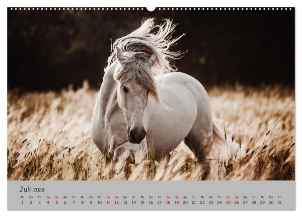 Produktbild: Spiegel deiner Seele (hochwertiger Premium Wandkalender 2026 DIN A2 quer), Kunstdruck in Hochglanz