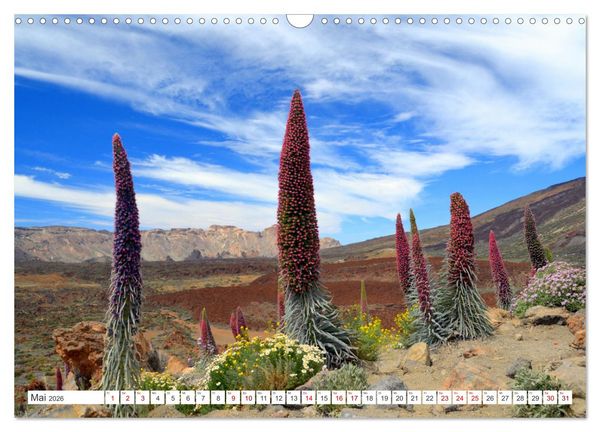 Produktbild: Teneriffa Insel der Gl&uuml;ckseligen (Wandkalender 2026 DIN A3 quer), CALVENDO Monatskalender