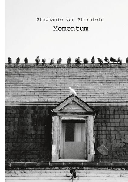 Produktbild: Momentum
