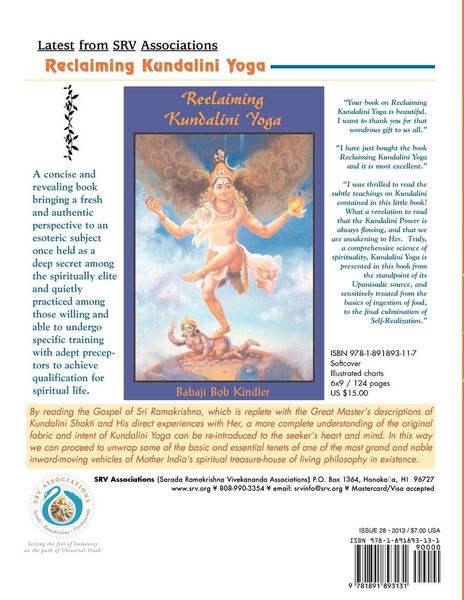 Produktbild: Nectar of Nondual Truth #28; A Journal of Universal Religious and Philosphical Teachings