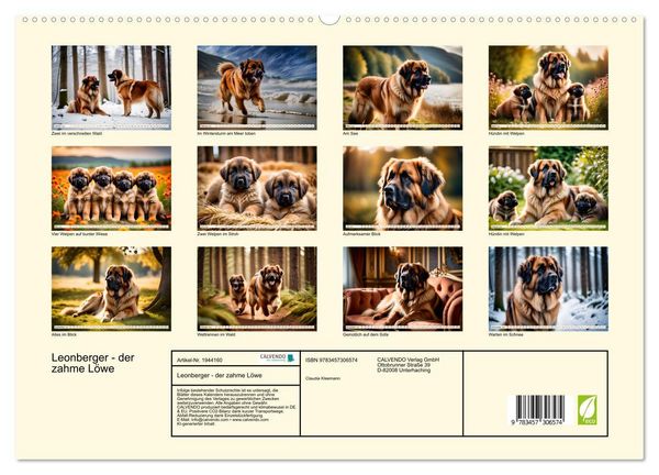 Produktbild: Leonberger - der zahme L&ouml;we (hochwertiger Premium Wandkalender 2026 DIN A2 quer), Kunstdruck in Hochglanz