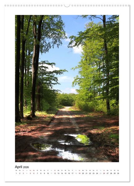 Produktbild: Mein Sehnsuchtsort, der Wald (Wandkalender 2026 DIN A2 hoch), CALVENDO Monatskalender