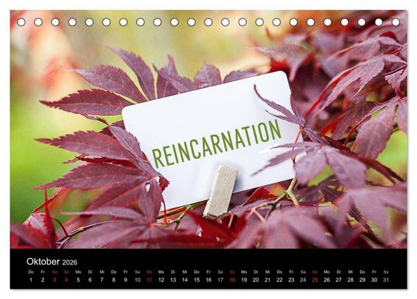 Produktbild: SPIRIT OF ZEN Meditation (Tischkalender 2026 DIN A5 quer), CALVENDO Monatskalender