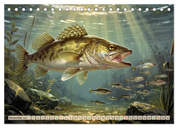 Produktbild: Talsperren - Zander (Tischkalender 2027 DIN A5 quer), CALVENDO Monatskalender