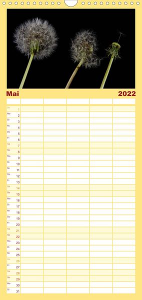 Produktbild: Familienplaner Ver&auml;ndertes (Wandkalender 2022 , 21 cm x 45 cm, hoch)