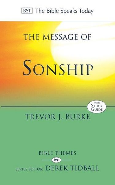 Produktbild: The Message of Sonship