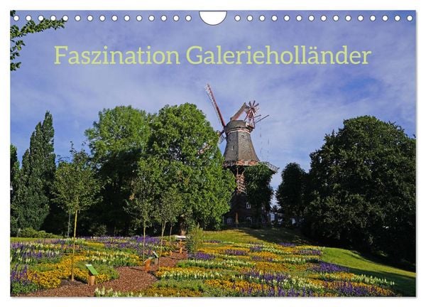 Produktbild: Faszination Galerieholl&auml;nder (Wandkalender 2026 DIN A4 quer), CALVENDO Monatskalender
