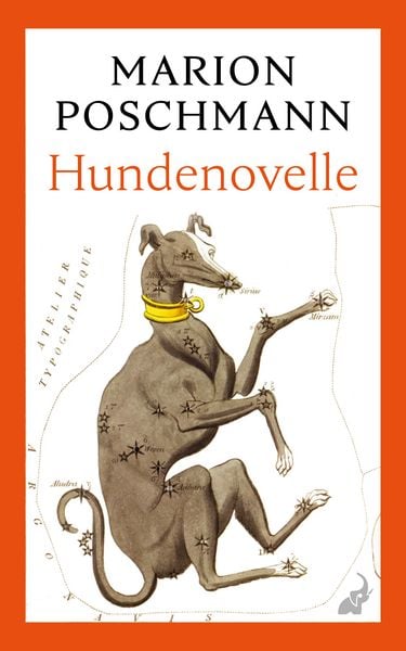 Hundenovelle, Taschenbuch von Marion Poschmann, Frankfurter Verlagsanstalt, 978-3-627-00337-1
