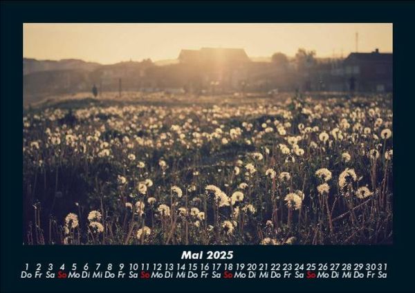 Produktbild: Bilder der Natur 2025 Fotokalender DIN A5
