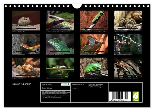 Produktbild: Exoten-Kalender (Wandkalender 2026 DIN A4 quer), CALVENDO Monatskalender