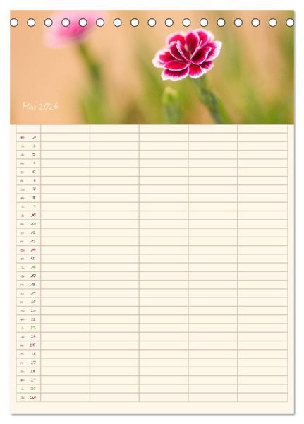 Produktbild: Mit Blick in den Garten (Tischkalender 2026 DIN A5 hoch), CALVENDO Monatskalender