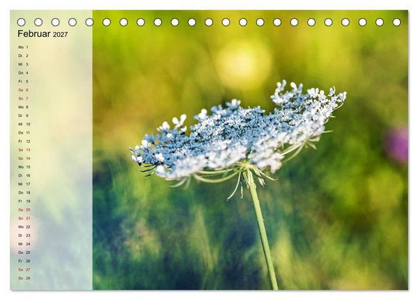 Produktbild: Sommerliche Bl&uuml;tenpoesie (Tischkalender 2027 DIN A5 quer), CALVENDO Monatskalender