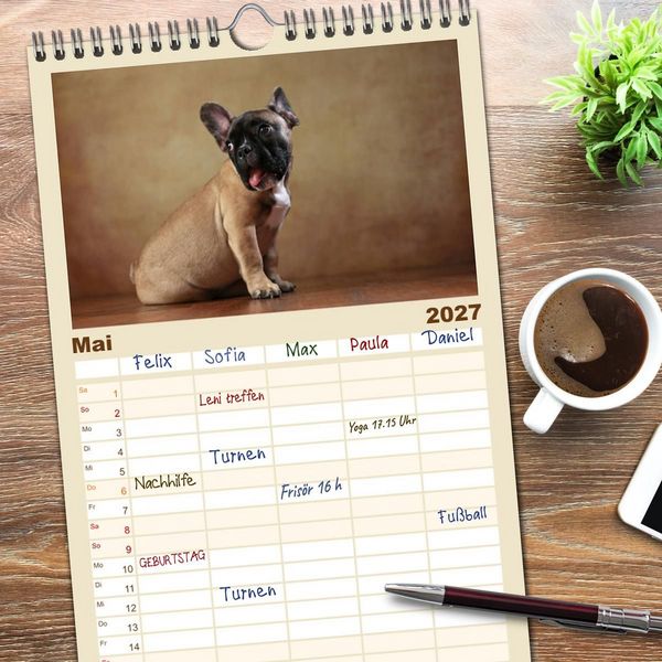 Produktbild: Familienplaner 2027 - Charme auf vier Pfoten - Franz&ouml;sische Bulldoggen Portraits mit 5 Spalten (Wandkalender, 21 x 45 cm) CALVENDO