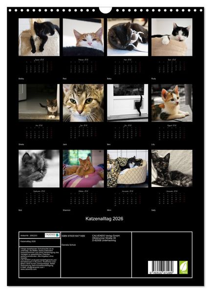 Produktbild: Katzenalltag 2026 (Wandkalender 2026 DIN A3 hoch), CALVENDO Monatskalender