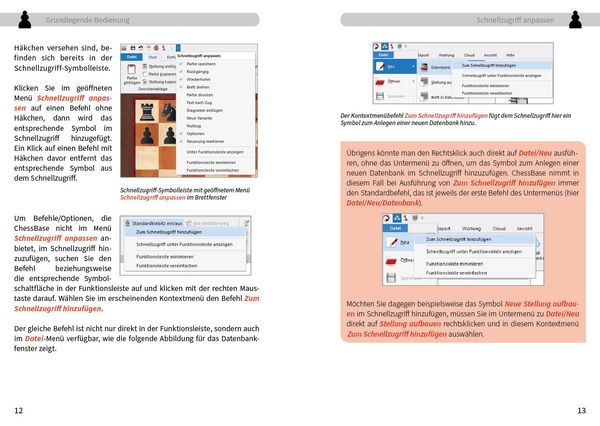 Produktbild: ChessBase 17 - Tipps und Tricks