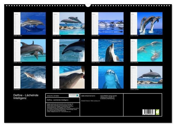 Produktbild: Delfine - L&auml;chelnde Intelligenz (Wandkalender 2026 DIN A2 quer), CALVENDO Monatskalender