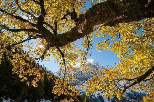 Produktbild: Karwendel