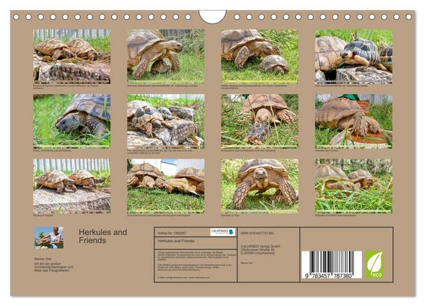 Produktbild: Herkules and Friends (Wandkalender 2026 DIN A4 quer), CALVENDO Monatskalender