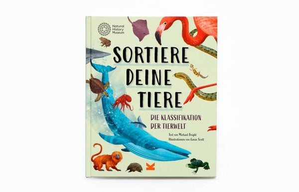 Produktbild: Sortiere deine Tiere