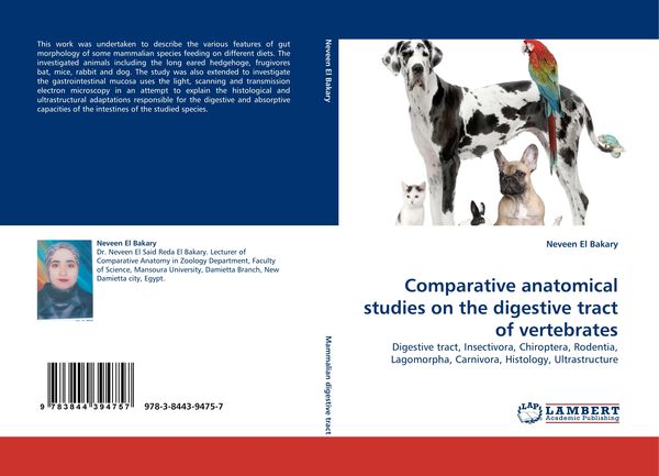 Produktbild: Comparative anatomical studies on the digestive tract of vertebrates