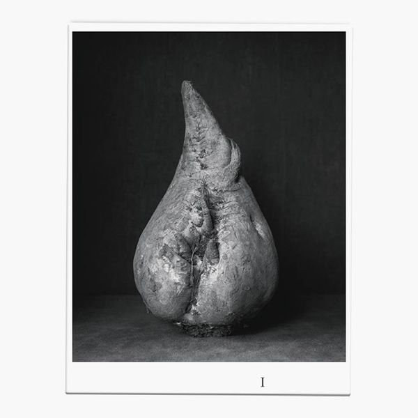 Produktbild: Ingar Krauss | Zuckerr&uuml;ben