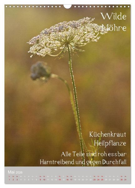 Produktbild: Unkr&auml;uter - N&uuml;tzliche Wildpflanzen auf der Wiese (Wandkalender 2026 DIN A3 hoch), CALVENDO Monatskalender