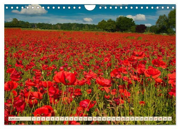 Produktbild: Landkreis Emmendingen - Streifz&uuml;ge durch den S&uuml;dwesten (Wandkalender 2026 DIN A4 quer), CALVENDO Monatskalender