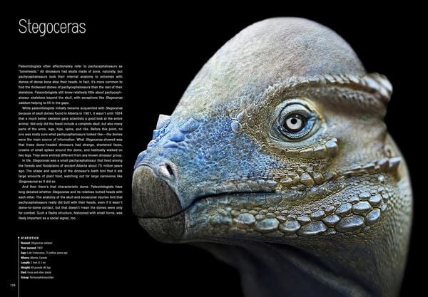 Produktbild: Dinosaurs