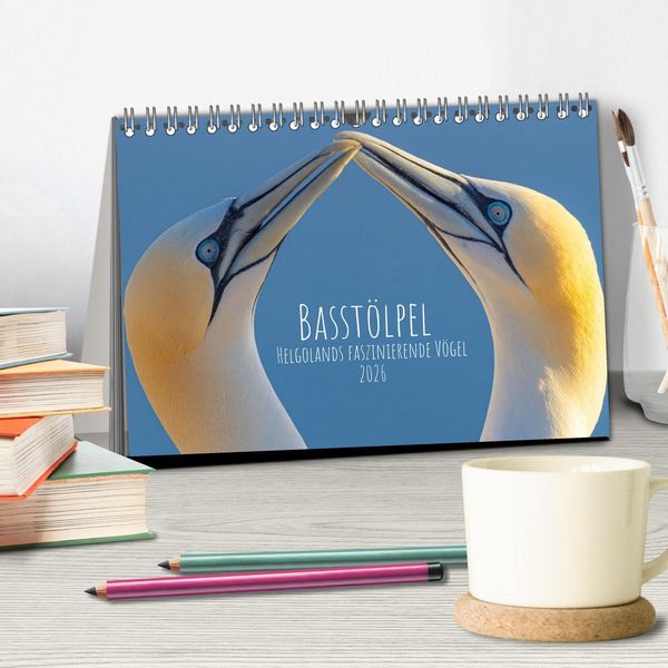 Produktbild: Basst&ouml;lpel - Helgolands faszinierende V&ouml;gel (Tischkalender 2026 DIN A5 quer), CALVENDO Monatskalender