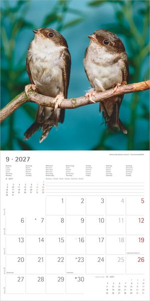 Produktbild: Einheimische V&ouml;gel 2027