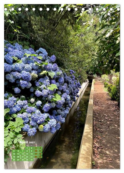 Produktbild: Madeiras Flora. Wundersame Wildblumen und exotische Geh&ouml;lze (Tischkalender 2027 DIN A5 hoch), CALVENDO Monatskalender