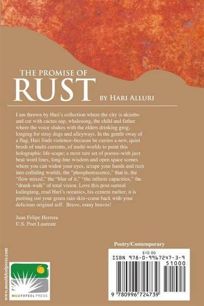 Produktbild: The Promise of Rust