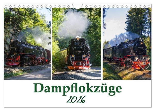 Produktbild: Schmalspurbahnen im Harz (Wandkalender 2026 DIN A4 quer), CALVENDO Monatskalender