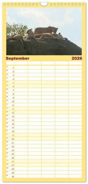 Produktbild: Familienplaner 2026 - Die Magie der K&ouml;nige der Tiere mit 5 Spalten (Wandkalender, 21 x 45 cm) CALVENDO