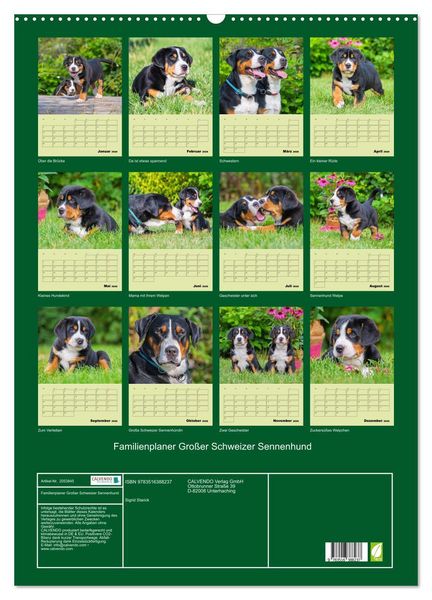 Produktbild: Familienplaner Gro&szlig;er Schweizer Sennenhund (Wandkalender 2026 DIN A2 hoch), CALVENDO Monatskalender