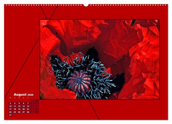 Produktbild: Powerfarbe Rot (Wandkalender 2026 DIN A2 quer), CALVENDO Monatskalender