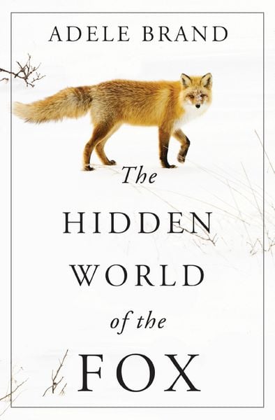 Produktbild: The Hidden World of the Fox