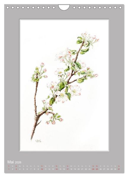 Produktbild: Alpenblumen Aquarelle aus Tirol (Wandkalender 2026 DIN A4 hoch), CALVENDO Monatskalender