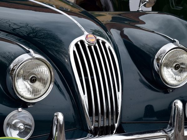 Produktbild: CALVENDO Puzzle K&uuml;hlergrill Jaguar 1000 Teile Lege-Gr&ouml;&szlig;e 64 x 48 cm Foto-Puzzle Bild von Karin Sigwarth