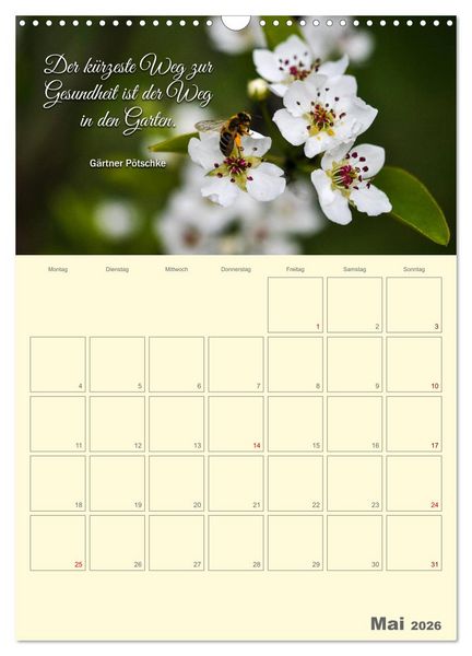 Produktbild: Gartenliebe (Wandkalender 2026 DIN A3 hoch), CALVENDO Monatskalender