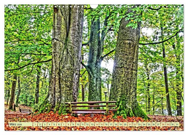 Produktbild: Verwunschene Waldtr&auml;ume: Ein Kalender voller Magie (Wandkalender 2026 DIN A3 quer), CALVENDO Monatskalender
