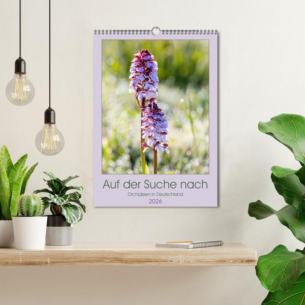Produktbild: Auf der Suche nach Orchideen in Deutschland (Wandkalender 2026 DIN A3 hoch), CALVENDO Monatskalender