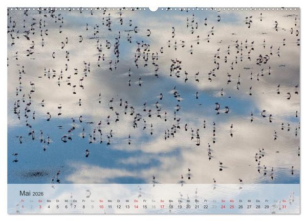 Produktbild: Flamingo Impressionen 2026 (hochwertiger Premium Wandkalender 2026 DIN A2 quer), Kunstdruck in Hochglanz